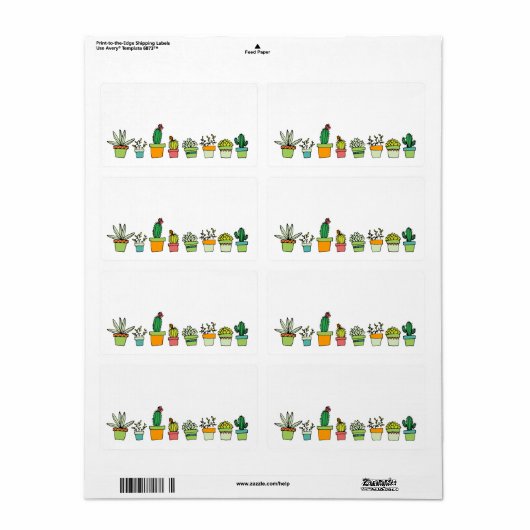 Schattigee geïllustreerde succulente tuin etiket (Full Sheet)