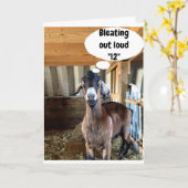 SCHATTIGEE GEIT BLAAST HARDOP "12th BIRHDAY WISH"  Kaart (Gele Bloem)