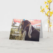 Schattigee Geit Lange Oren Foto Sympathie Kaart (Gele Bloem)