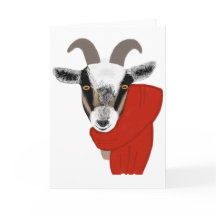 Schattigee geit met sjaal