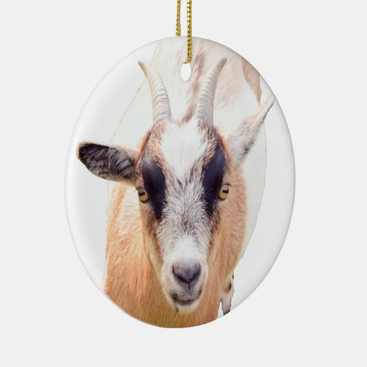 Schattigee geit straight look keramisch ornament (Rechts)