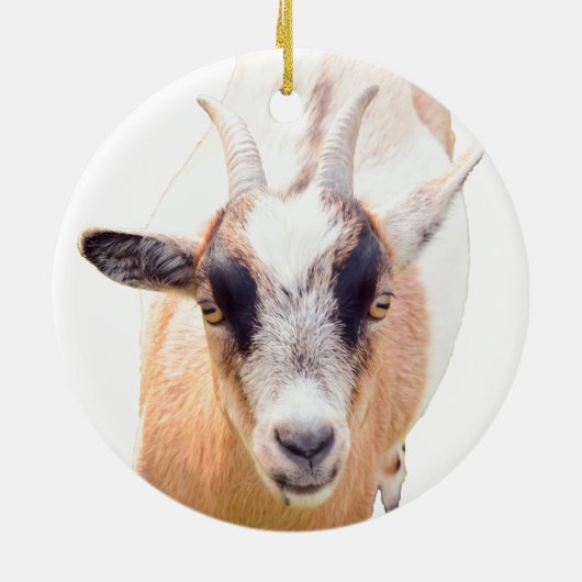 Schattigee geit straight look keramisch ornament (Achterkant)