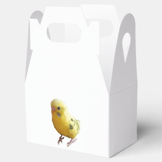 Schattigee gele parkiet vriendelijke huisdier voge bedankdoosjes (Geopend)