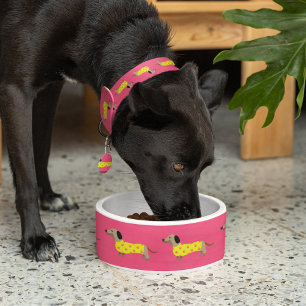 Schattigee Gele & Roze Teckel Hond Grappig Voerbakje