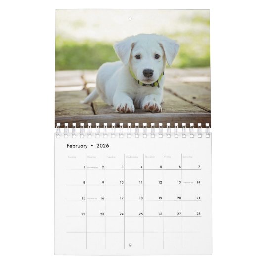 Schattigee Gepersonaliseerde Dierenliefhebbers 202 Kalender (Feb 2026)