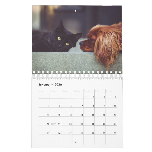 Schattigee Gepersonaliseerde Dierenliefhebbers 202 Kalender (Jan 2026)
