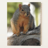 Schattigee gepersonaliseerde eekhoorn planner (Achterkant)