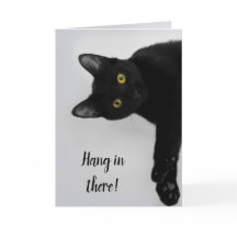 Schattigee Gepersonaliseerde Zwarte Kat Wordt Goed