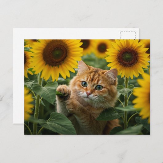 Schattigee Ginger Cat in Zonnebloemen Briefkaart (Voorkant / Achterkant)