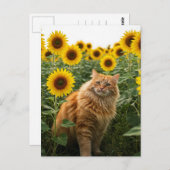 Schattigee Ginger Cat in Zonnebloemen Briefkaart (Voorkant / Achterkant)