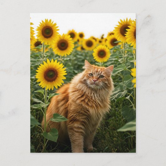 Schattigee Ginger Cat in Zonnebloemen Briefkaart (Voorkant)