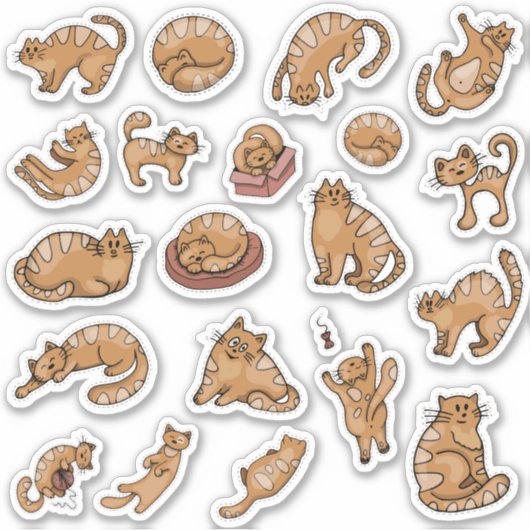 Schattigee Ginger-Cat Stickers (Voorkant)