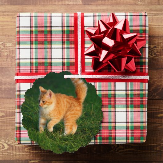 Schattigee Ginger Kitten Foto Ornament Kaart (Insitu (Geschenk))