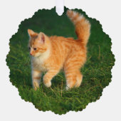 Schattigee Ginger Kitten Foto Ornament Kaart (Voorkant)