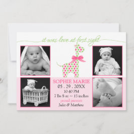 Schattigee Giraffe Baby Meisje Foto Geboorte Aanko Aankondiging