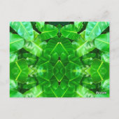 Schattigee Giraffe Zebra Tiger Safari vrienden oer Briefkaart (Achterkant)