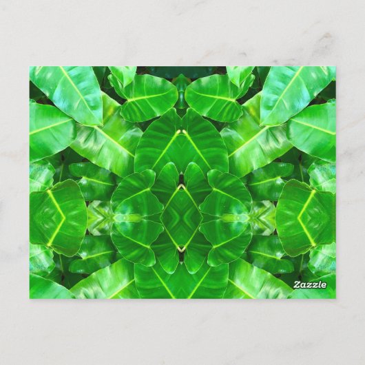 Schattigee Giraffe Zebra Tiger Safari vrienden oer Briefkaart (Achterkant)