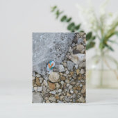 Schattigee Gold Heart Rock op Burlington, Iowa Riv Briefkaart (Staand voorkant)