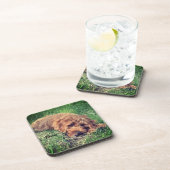 Schattigee Golden Doodle Beverage Coaster Bier Onderzetter (Rechterzijde)