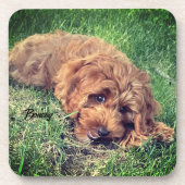 Schattigee Golden Doodle Beverage Coaster Bier Onderzetter (Voorkant)