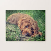 Schattigee Golden Doodle Jigsaw Puzzel (Horizontaal)