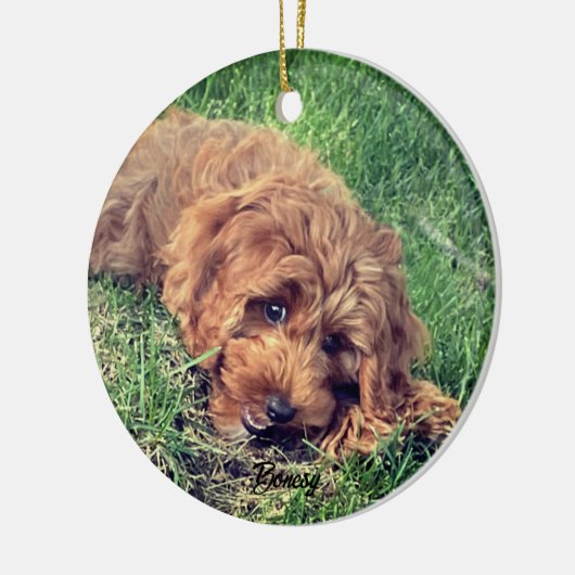 Schattigee Golden Doodle Keramisch Ornament (Links)