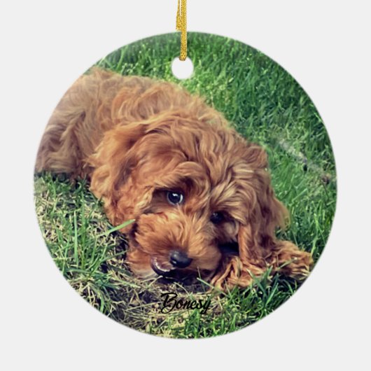 Schattigee Golden Doodle Keramisch Ornament (Achterkant)