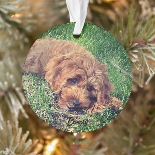 Schattigee Golden Doodle Ornament (Boom)