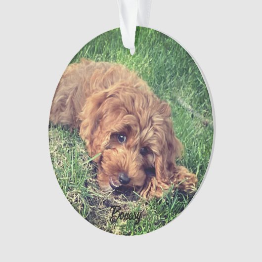 Schattigee Golden Doodle Ornament (voorkant)
