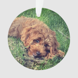 Schattigee Golden Doodle Ornament