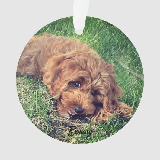 Schattigee Golden Doodle Ornament (voorkant)