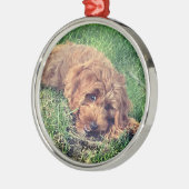 Schattigee Golden Doodle Premium Metalen Ornament (Links)
