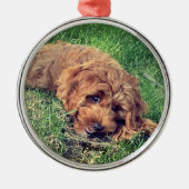 Schattigee Golden Doodle Premium Metalen Ornament (Voorkant)