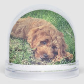 Schattigee Golden Doodle Sneeuwbol (Voorkant)