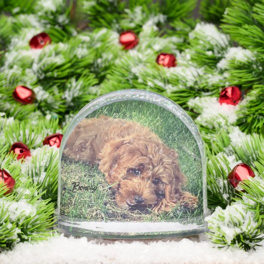 Schattigee Golden Doodle Sneeuwbol (Kerstmis)