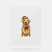 Schattigee Golden Retriever Dog Coquette Bow Chris Acryl Bord (Voorkant)