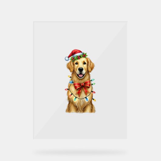 Schattigee Golden Retriever Dog Coquette Bow Chris Acryl Bord (Voorkant)