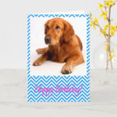 Schattigee Golden Retriever Dog Happy Birthday Kaa Kaart (Gele Bloem)