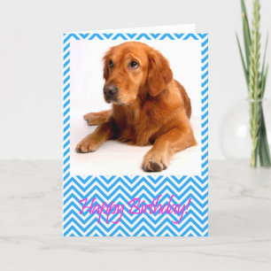 Schattigee Golden Retriever Dog Happy Birthday Kaa Kaart