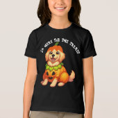 Schattigee Golden Retriever Dog Pumpkin, Grappig H Tri-Blend Shirt (Voorkant)
