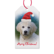 Schattigee Golden Retriever Puppy Dragen Santa Hat