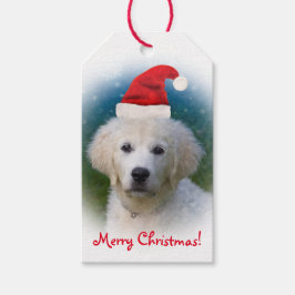 Schattigee Golden Retriever Puppy Dragen Santa Hat Cadeaulabel