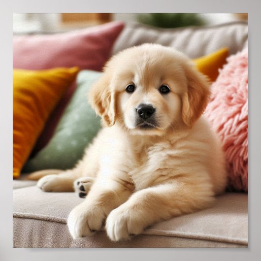 Schattigee Golden Retriever puppy Poster (Voorkant)