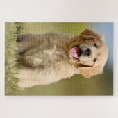Schattigee Golden Retriever Puzzel (Horizontaal)