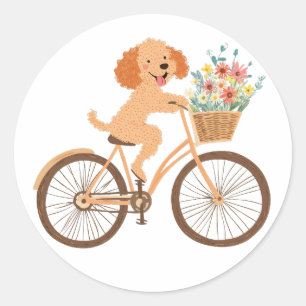 Schattigee Goldendoodle Hond Fietsen Spring Flower Ronde Sticker