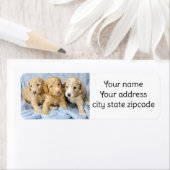 Schattigee Goldendoodle Puppies retouradreslabels Etiket (Insitu)