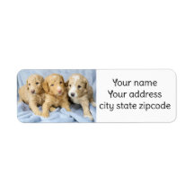 Schattigee Goldendoodle Puppies retouradreslabels