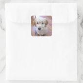 Schattigee GoldenDoodle puppy afbeeldingen Vierkante Sticker (Tas)