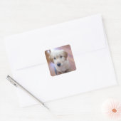 Schattigee GoldenDoodle puppy afbeeldingen Vierkante Sticker (Envelop)