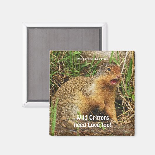 Schattigee Gopher Prairiehonden Wildlife Magnets Magneet (Voorkant / Achterkant)